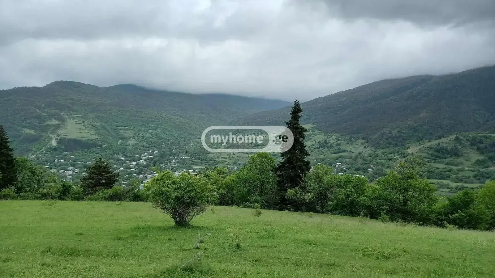 For Sale Sasoplo-Sameurneo Land Plot Borjomshi view 2