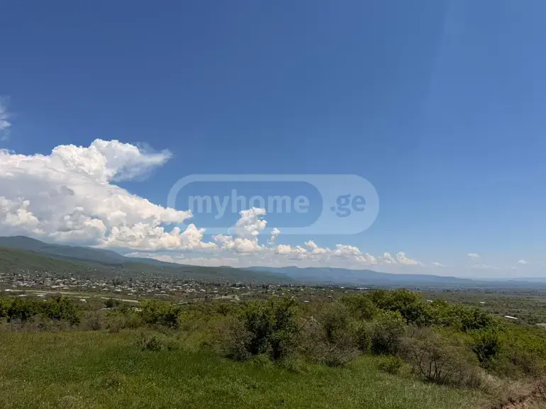 იყიდება მიწა / ნაკვეთი Sagarejos Munitsipalitetshiში view 13