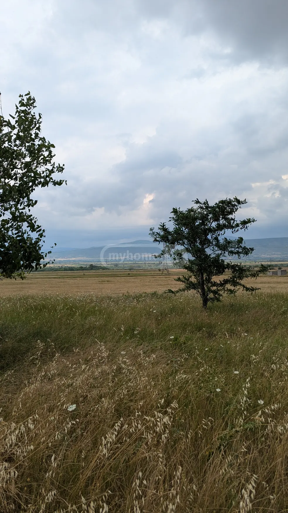 For Sale Sasoplo-Sameurneo Land Plot Mtskhetis Munitsipalitetshi view 6