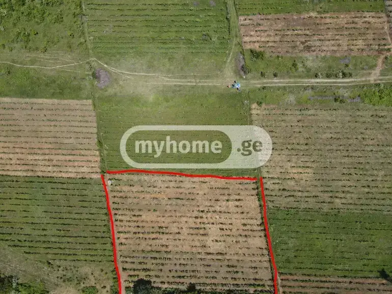 For Sale Sasoplo-Sameurneo Land Plot Mtskhetis Munitsipalitetshi view 5