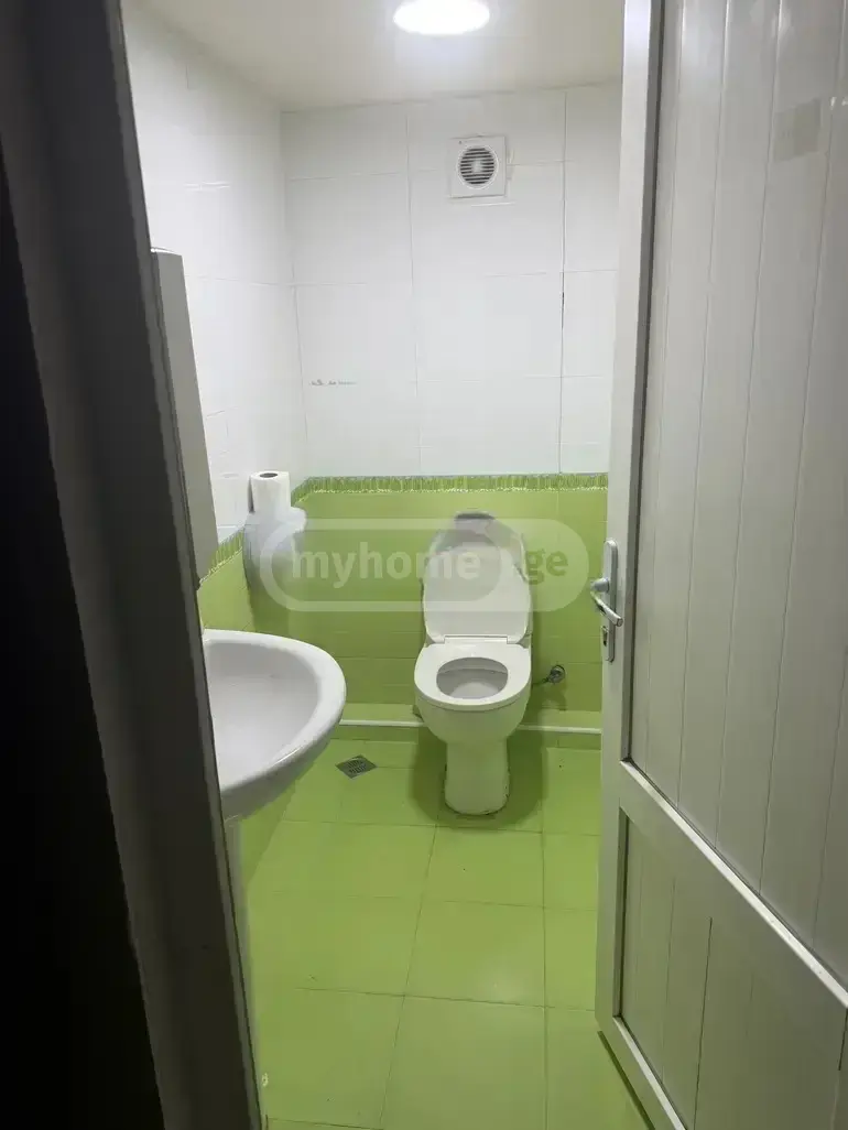 For Sale Universaluri Commercial Space Dighmis Masivshi view 10