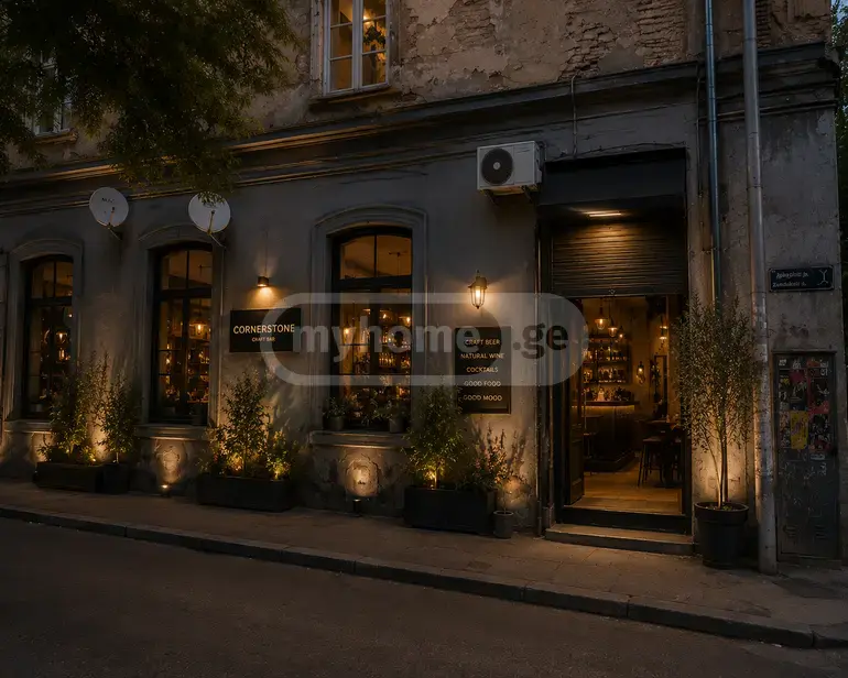 For Rent Universaluri Commercial Space Kiketshi view 2