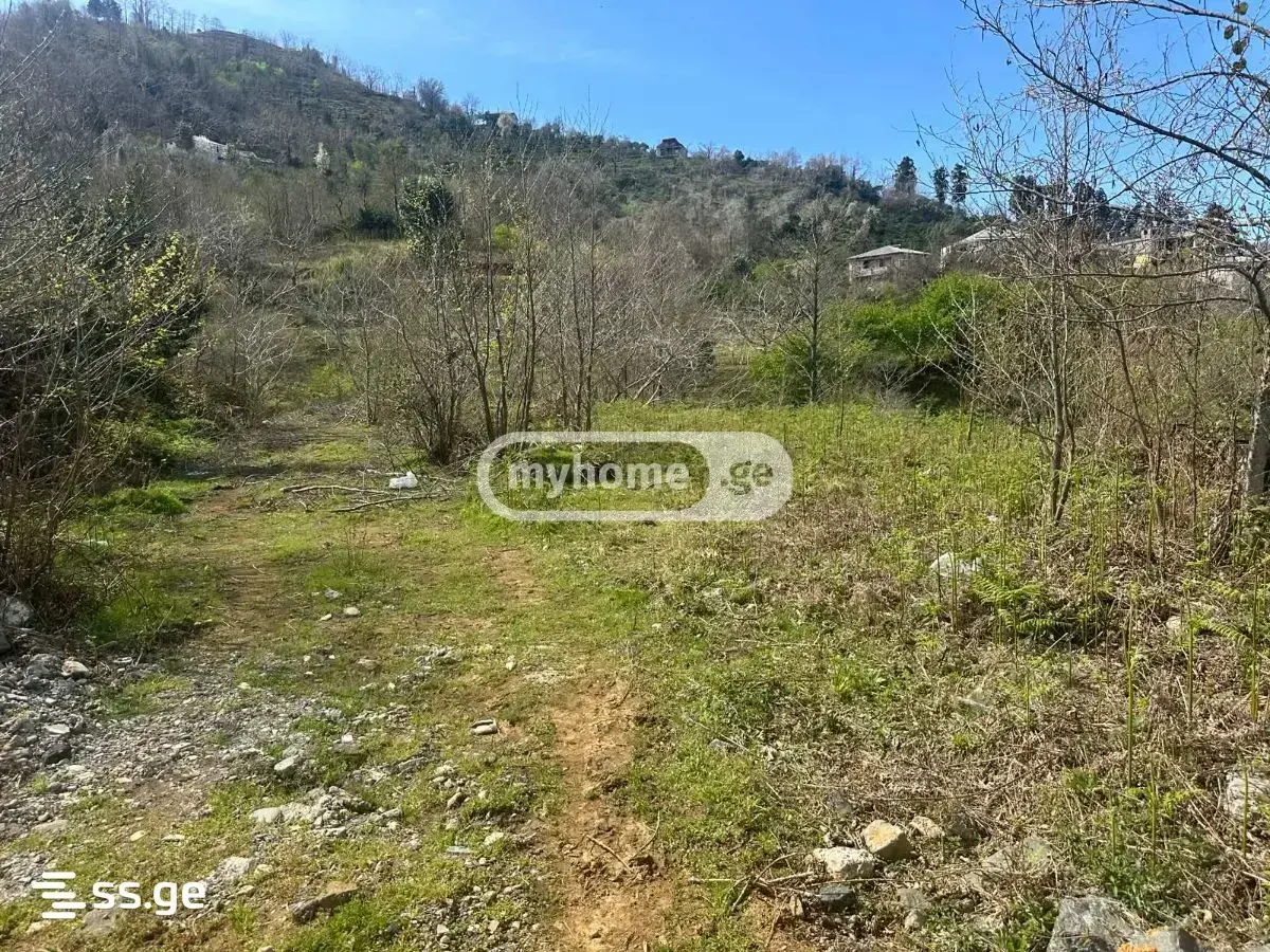 For Sale Sainvestitsio Land Plot Khelvachauris Munitsipalitetshi view 4