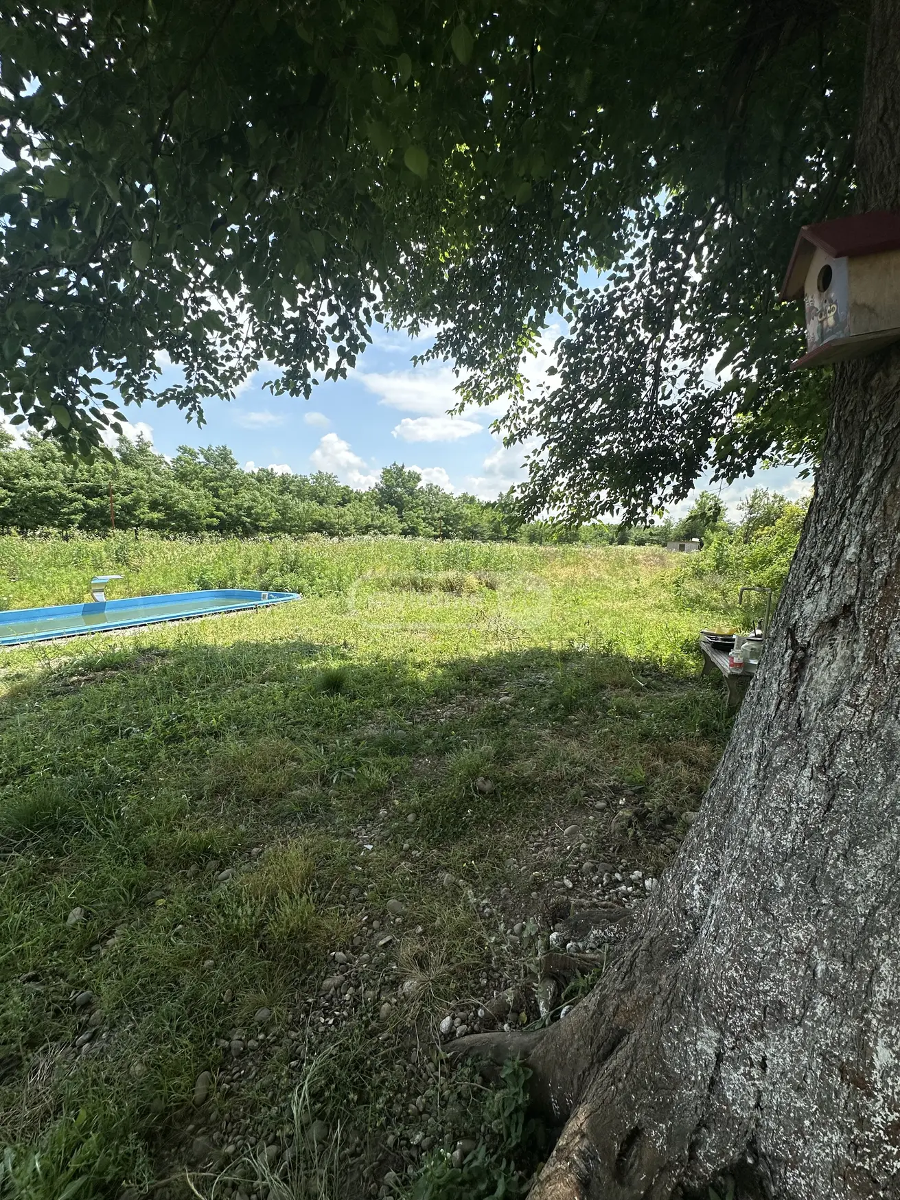 For Sale 5 Room Private House Kutaisshi view 16