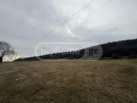 For Sale Sasoplo-Sameurneo Land Plot Tetritsqaroshi view 3