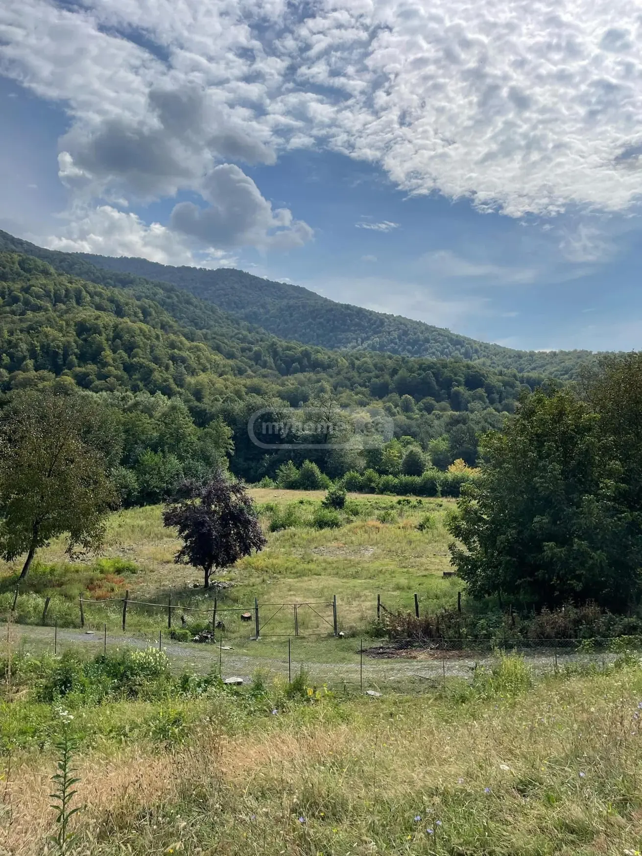 For Sale 5 Room Country House Telavis Munitsipalitetshi view 10
