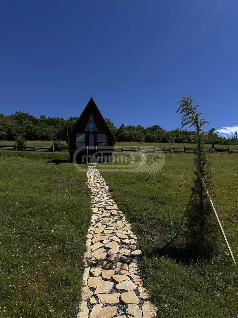 For Sale 3 Room Country House Dushetshi view 9