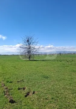 იყიდება მიწა / ნაკვეთი Marneulshiში view 1