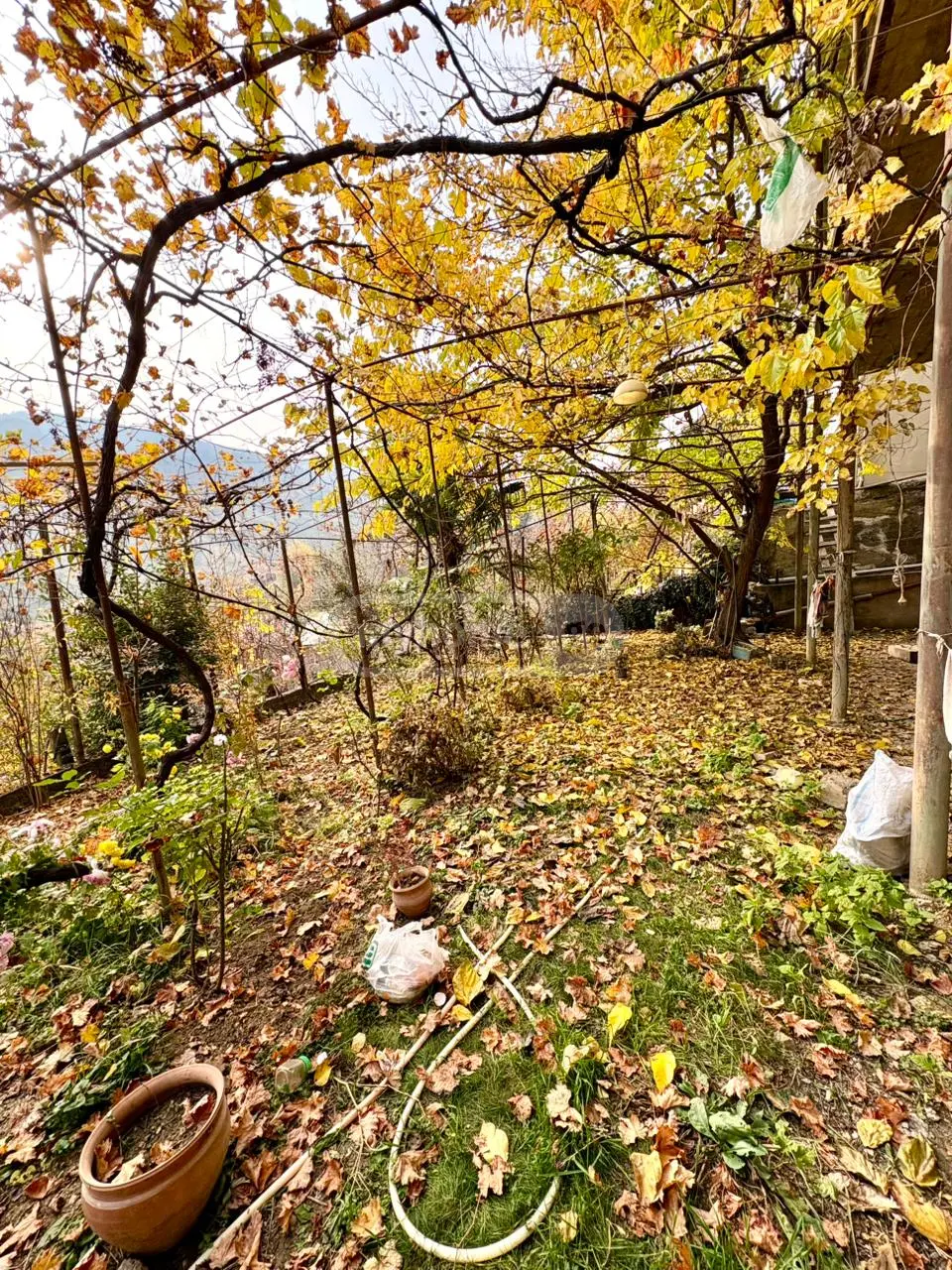 For Sale 10+ Room Private House Krtsanisshi, 10 of 12