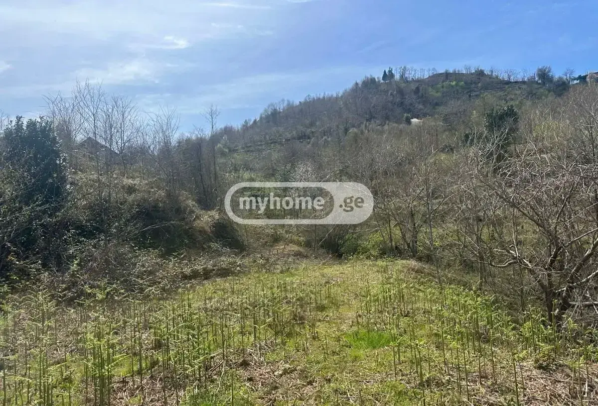 For Sale Sainvestitsio Land Plot Khelvachauris Munitsipalitetshi view 5
