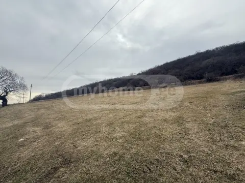 For Sale Sasoplo-Sameurneo Land Plot Tetritsqaroshi view 4
