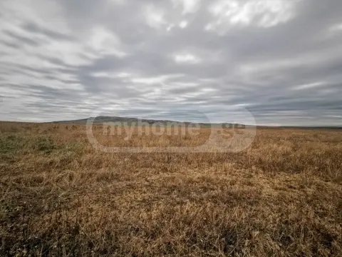 For Sale Sasoplo-Sameurneo Land Plot Tetritsqaroshi view 3
