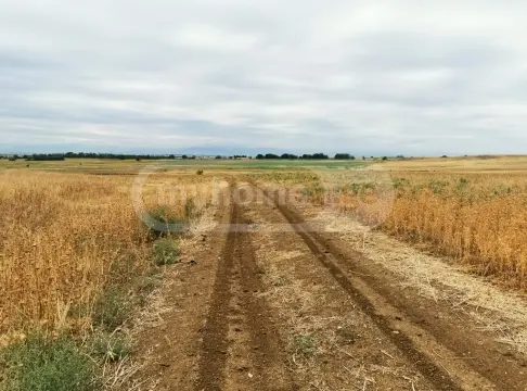 For Sale Sasoplo-Sameurneo Land Plot Tetritsqaroshi view 1