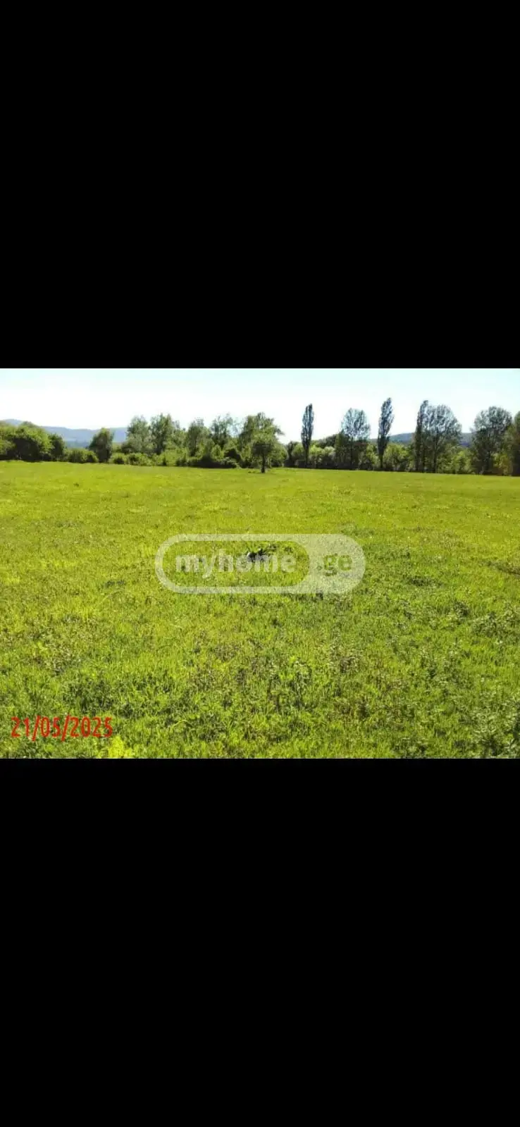 For Sale Sainvestitsio Land Plot Tianetis Munitsipalitetshi view 4