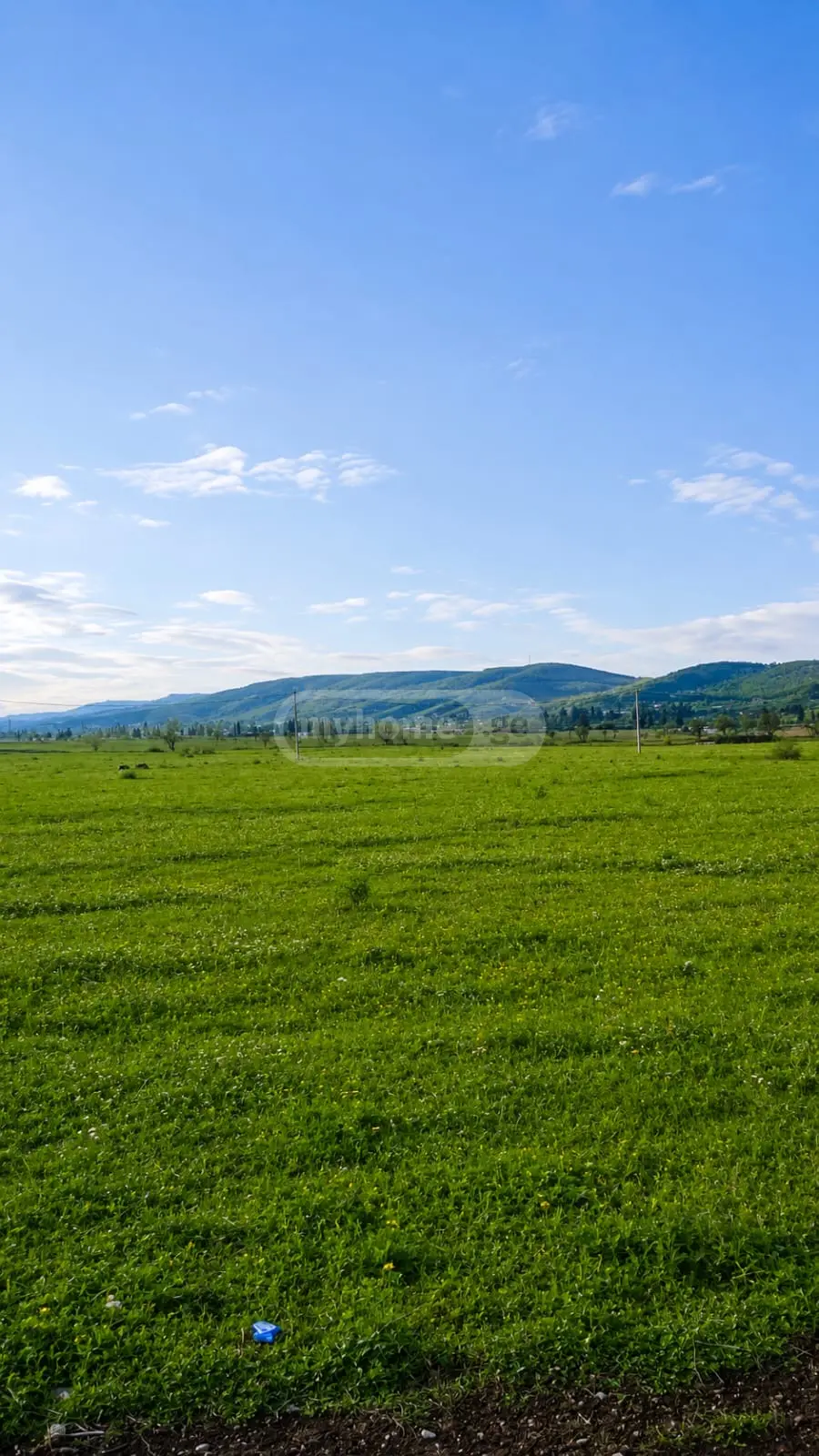 For Sale Sasoplo-Sameurneo Land Plot Gardabnis Munitsipalitetshi view 5