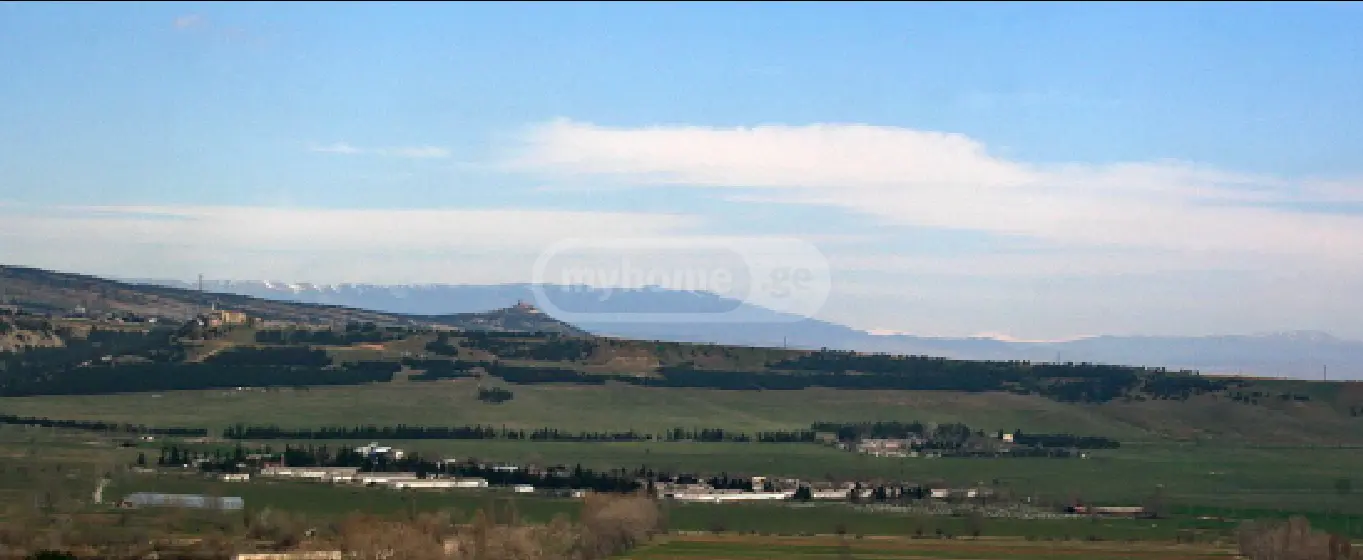 For Sale Sasoplo-Sameurneo Land Plot Tetritsqaros Raionshi view 4