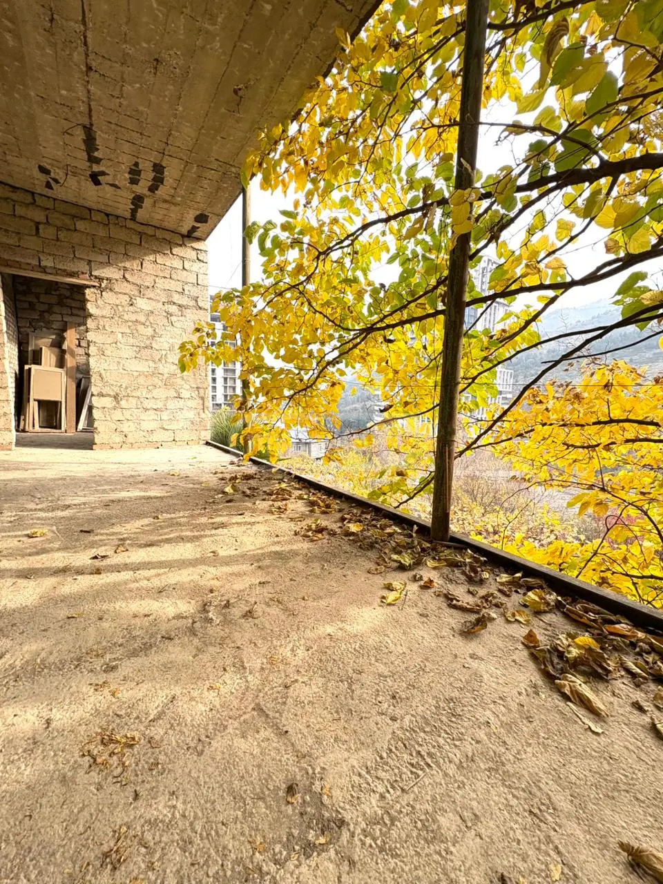 For Sale 10+ Room Private House Krtsanisshi, 8 of 12