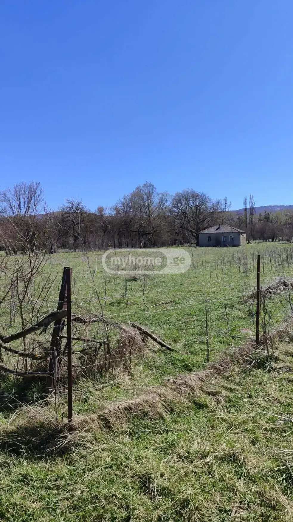 იყიდება მიწა / ნაკვეთი Tianetis Munitsipalitetshiში view 3