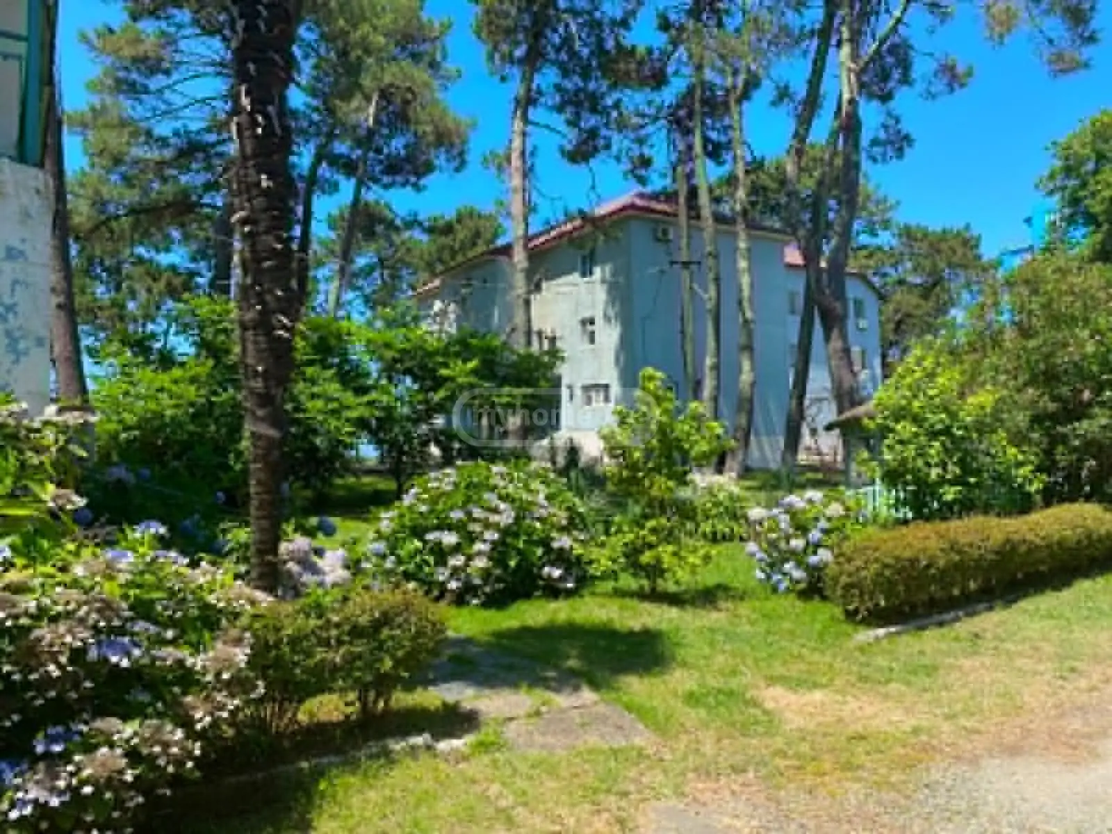 For Sale 10+ Room Sastumro Ozurgetis Munitsipalitetshi view 3