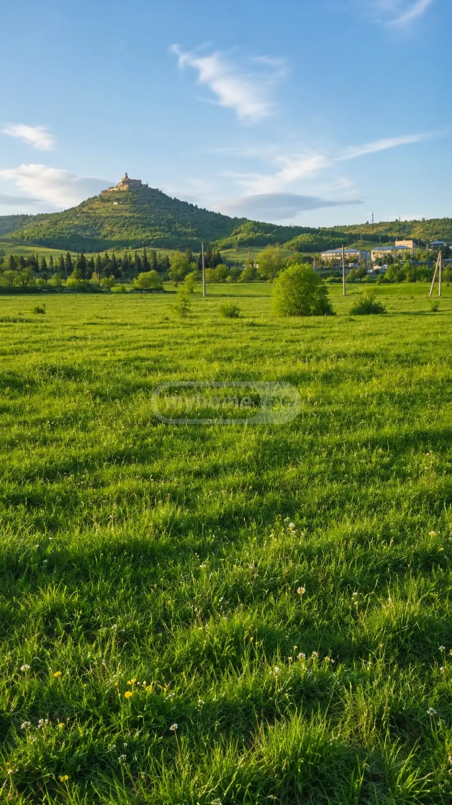 For Sale Sasoplo-Sameurneo Land Plot Gardabnis Munitsipalitetshi view 1
