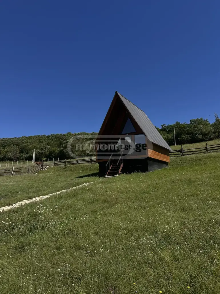 For Sale 3 Room Country House Dushetshi view 1