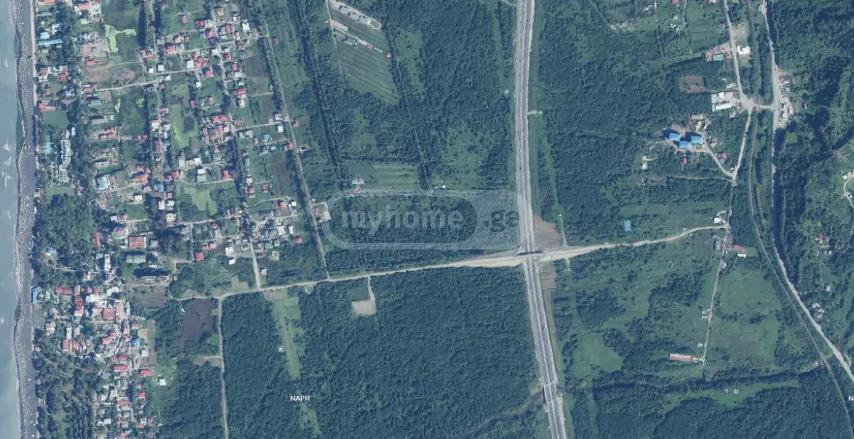 For Sale Sasoplo-Sameurneo Land Plot Ozurgetis Munitsipalitetshi view 1