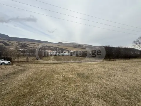 For Sale Sasoplo-Sameurneo Land Plot Tetritsqaroshi view 2