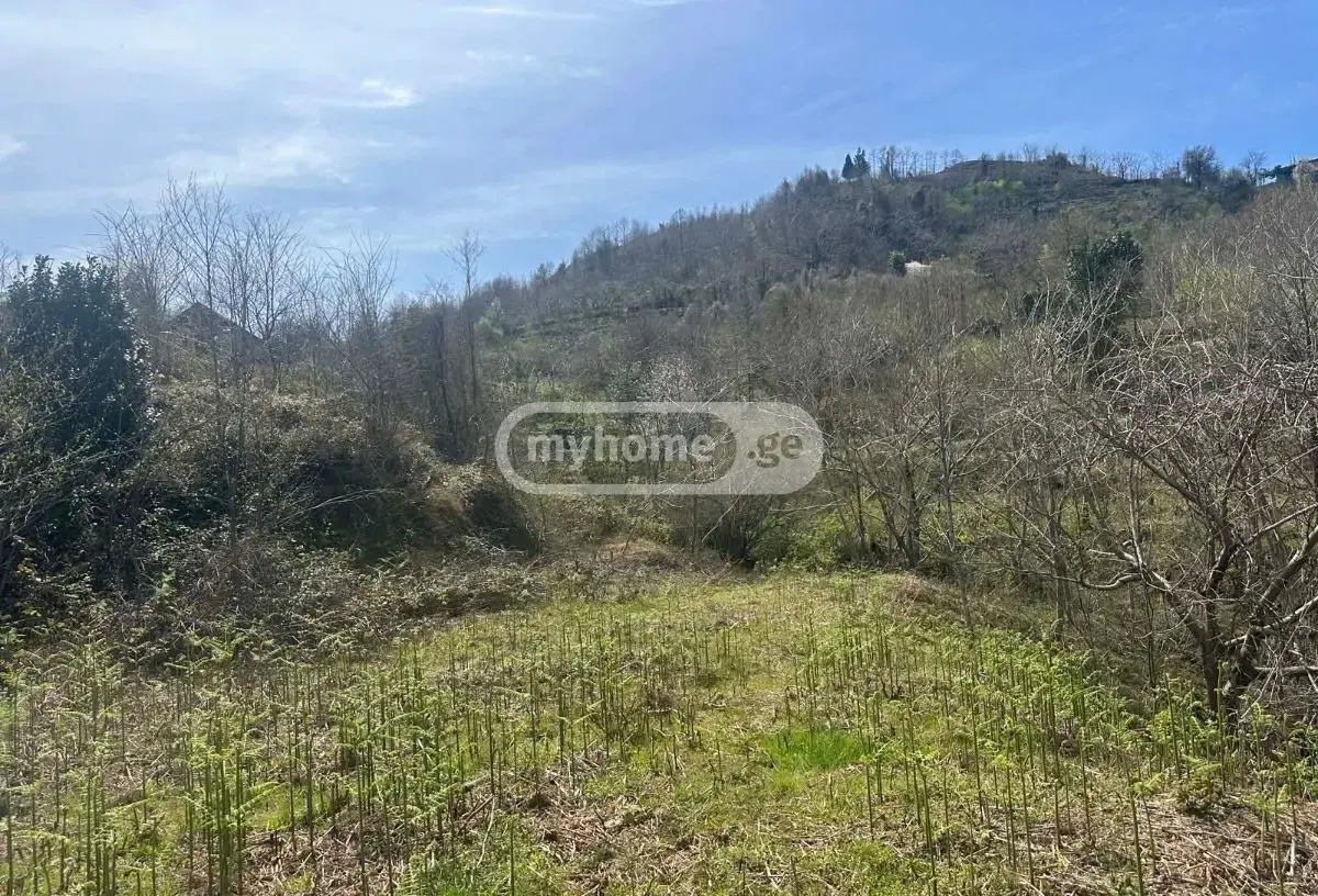 For Sale Sainvestitsio Land Plot Khelvachauris Munitsipalitetshi view 3