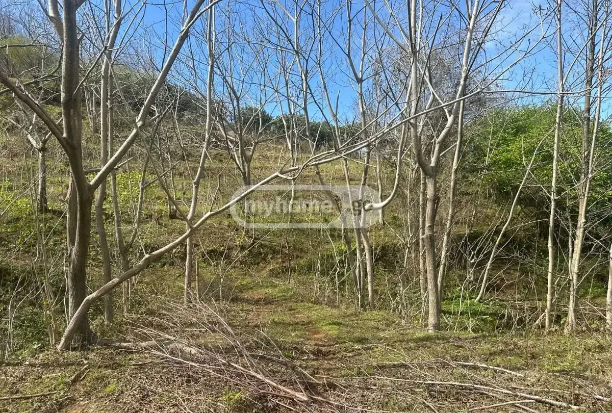 For Sale Sainvestitsio Land Plot Khelvachauris Munitsipalitetshi view 8