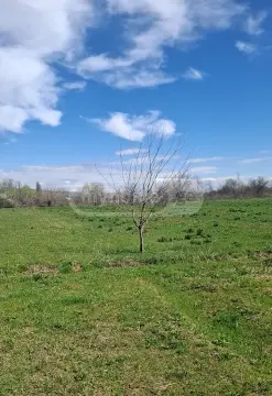 იყიდება მიწა / ნაკვეთი Marneulshiში view 2