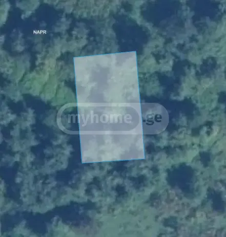 For Sale Sasoplo-Sameurneo Land Plot Ozurgetis Munitsipalitetshi view 3