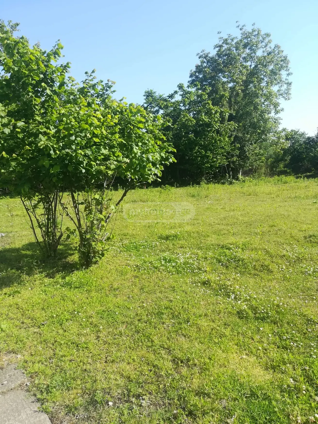 Продажа 4-комната Частный дом в Lanchkhutis Munitsipalitetshi view 2