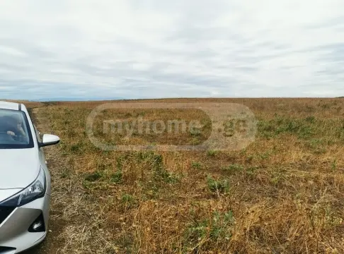 For Sale Sasoplo-Sameurneo Land Plot Tetritsqaroshi view 2