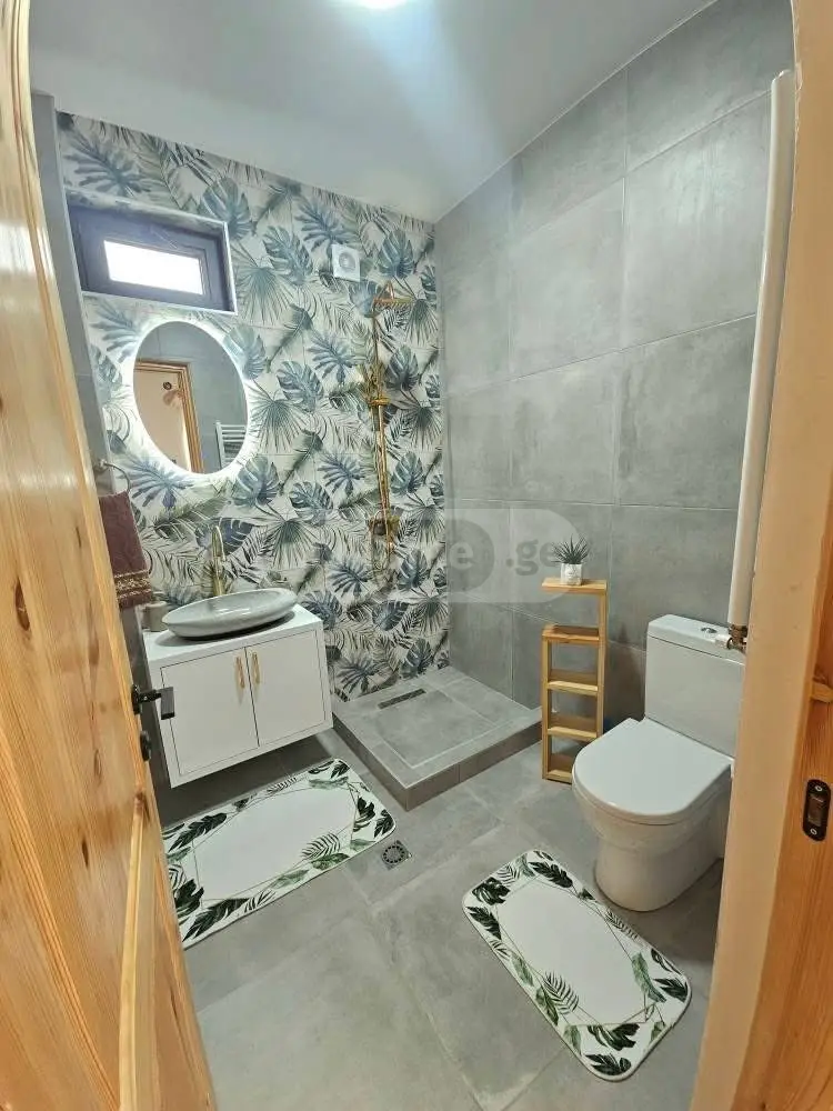 Daily Rent 2 Room Country House Dushetis Munitsipalitetshi view 10