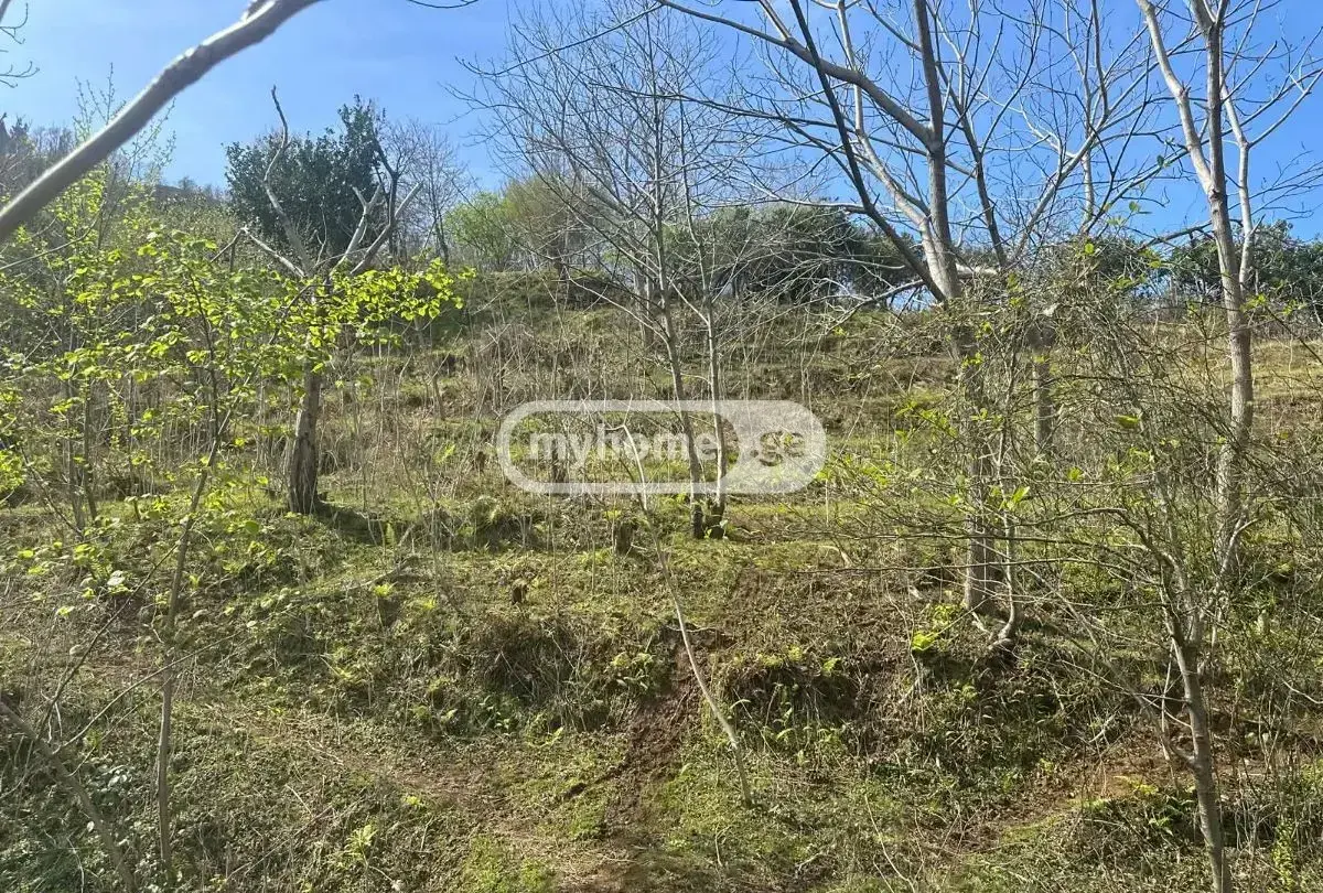 For Sale Sainvestitsio Land Plot Khelvachauris Munitsipalitetshi view 3