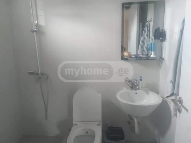 For Sale 10+ Room Country House Bakurianshi view 10