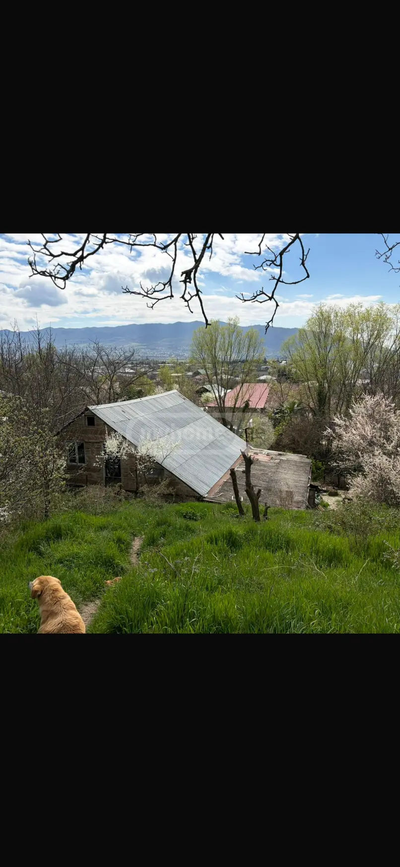 For Sale 8 Room Private House Mtskhetis Munitsipalitetshi view 9