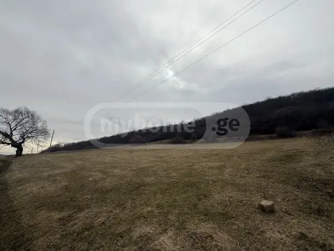 For Sale Sasoplo-Sameurneo Land Plot Tetritsqaroshi view 1