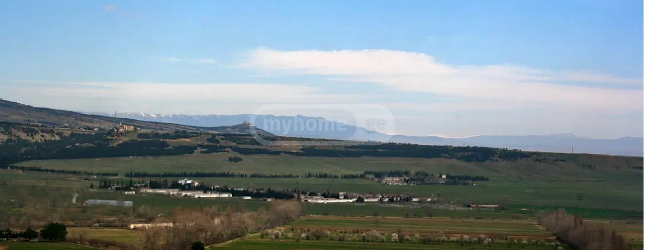 For Sale Sasoplo-Sameurneo Land Plot Tetritsqaros Raionshi view 3