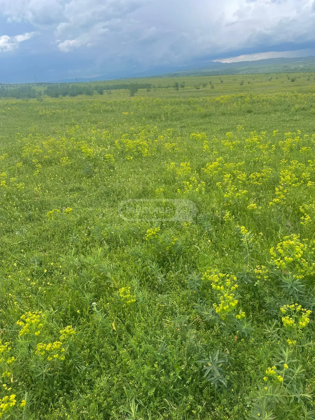 Продажа Земля / участок в Tetritsqaros Raionshi view 1