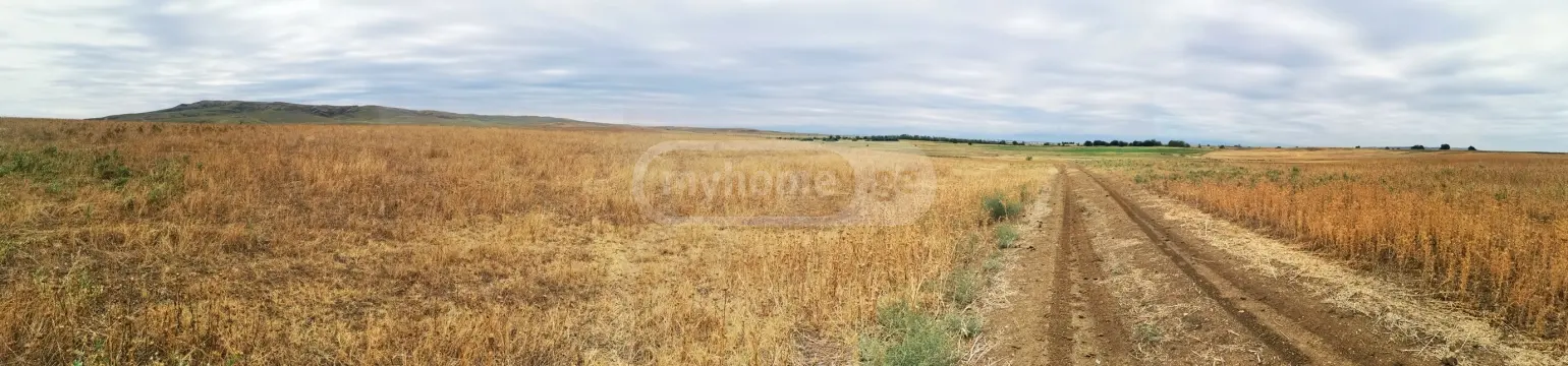 For Sale Sasoplo-Sameurneo Land Plot Tetritsqaroshi view 5
