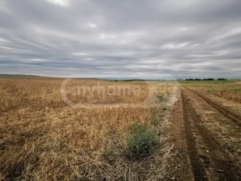 For Sale Sasoplo-Sameurneo Land Plot Tetritsqaroshi view 4