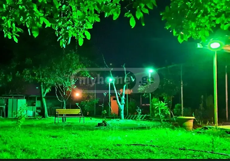 Daily Rent 7 Room Country House, 4 of 10