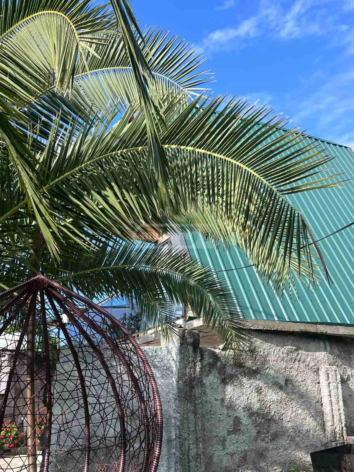 For Rent 2 Room Country House Kobuletis Munitsipalitetshi view 3