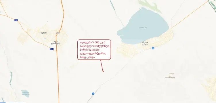 For Sale Sasoplo-Sameurneo Land Plot Tetritsqaroshi view 6