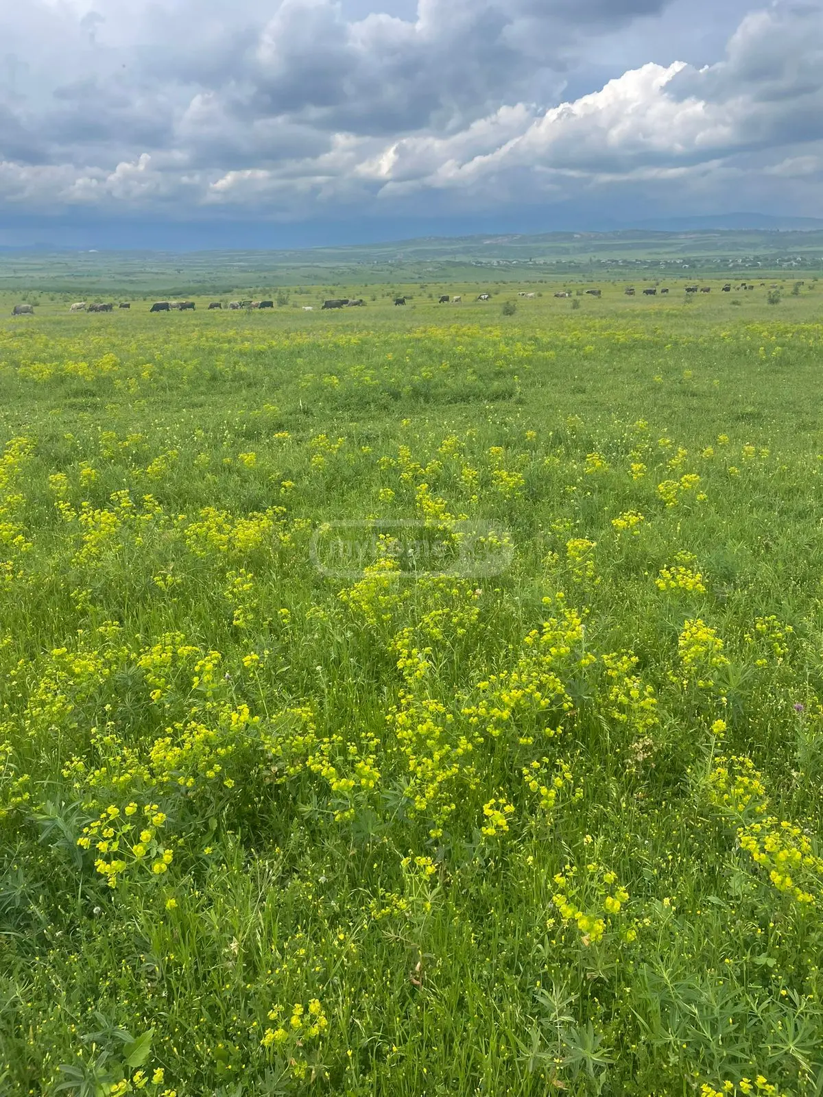 Продажа Земля / участок в Tetritsqaros Raionshi view 3