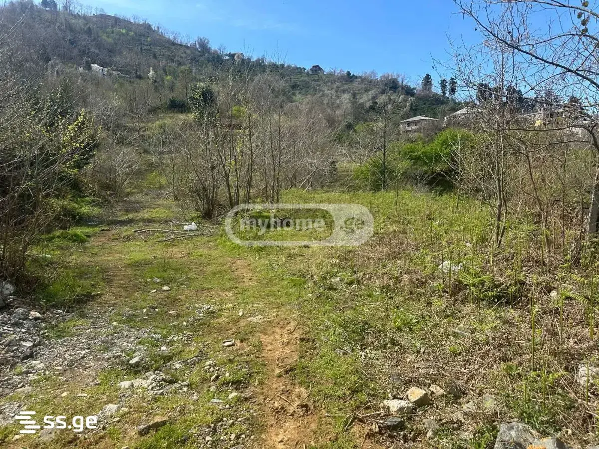 For Sale Sainvestitsio Land Plot Khelvachauris Munitsipalitetshi view 5