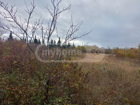 იყიდება მიწა / ნაკვეთი Gurjaanshiში view 5