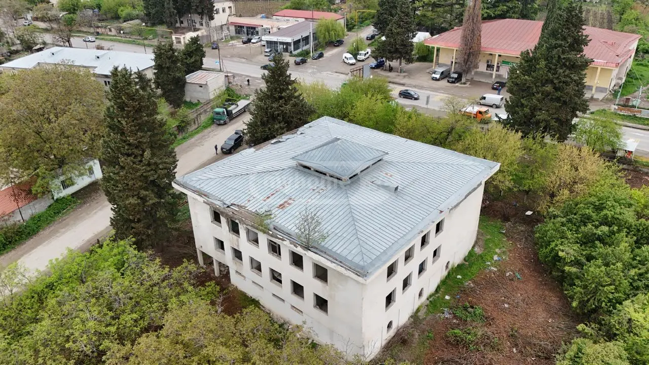 For Sale Mtliani Shenoba Commercial Space Sagarejos Munitsipalitetshi view 1