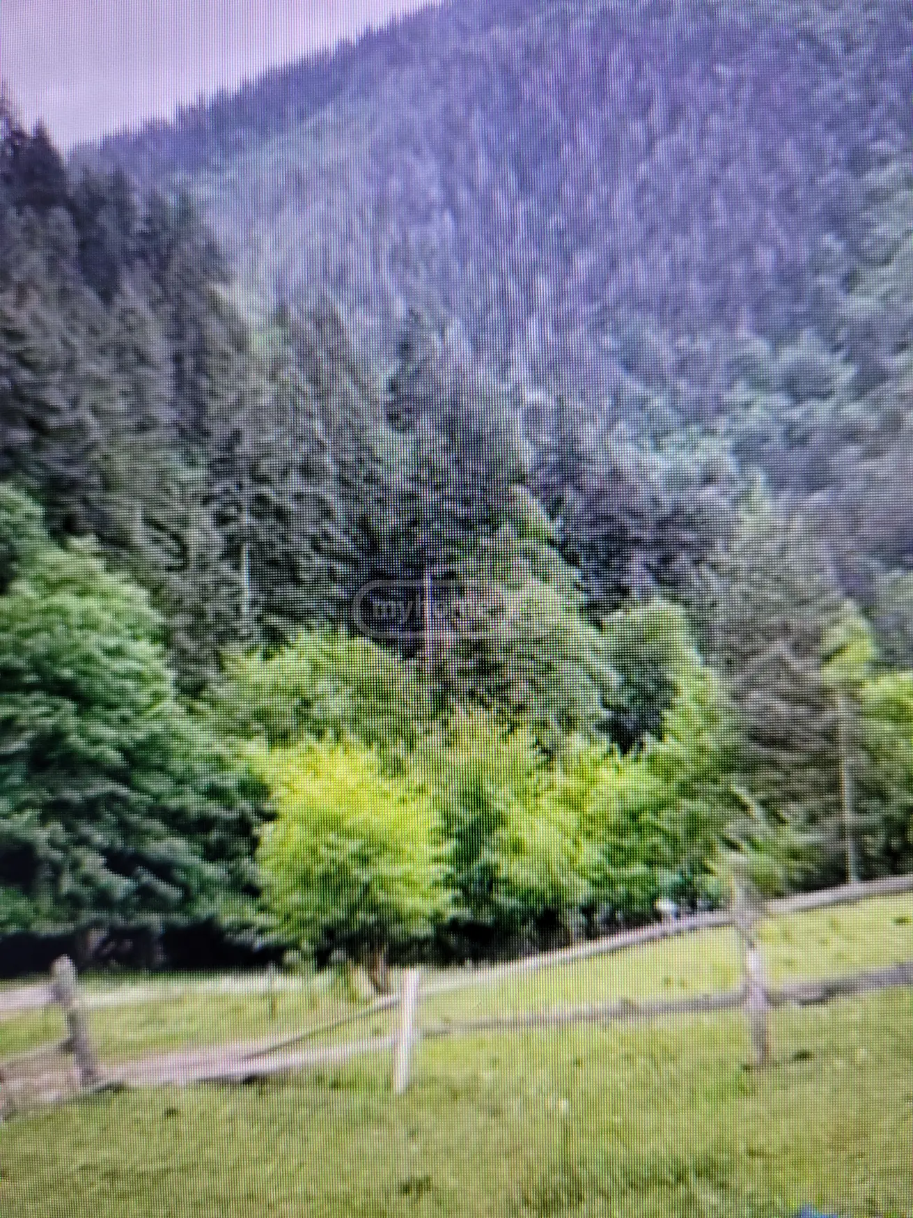 For Sale Sasoplo-Sameurneo Land Plot Borjomis Munitsipalitetshi view 1